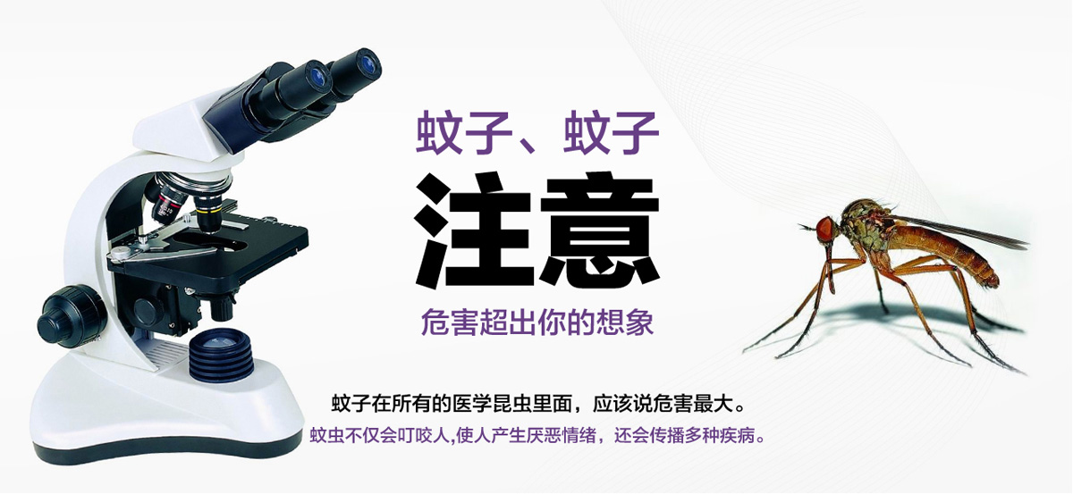 蚊子危害超出你的想象。